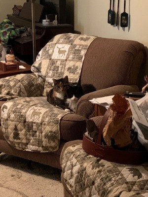 IMG_4359.jpeg