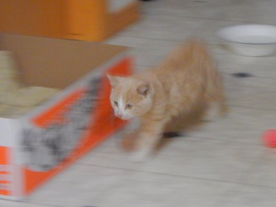 DSCN4021.JPG