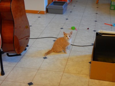 DSCN4006.JPG