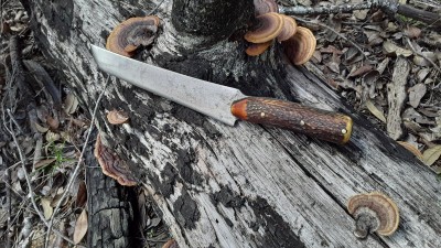 20201019_151036.jpg