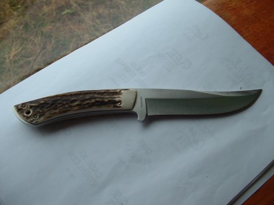 2008_0219repoint0027.JPG