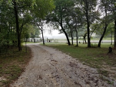 Foggy morning at the gate