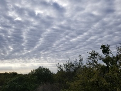 Interesting clouds 1