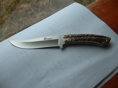 2008_0219repoint0031.JPG