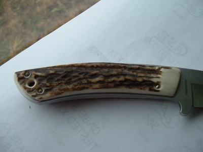2008_0219repoint0039.JPG