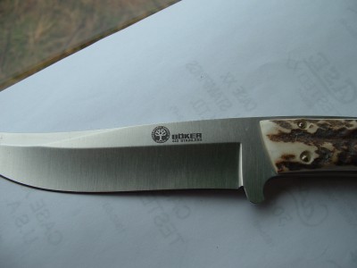 2008_0219repoint0034.JPG