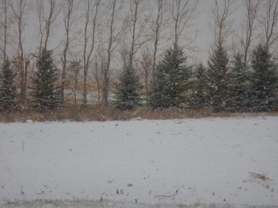 DSCN4025.JPG