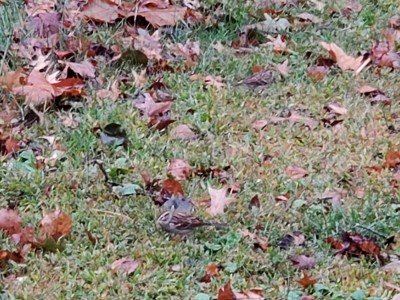 20201021_084833.jpg