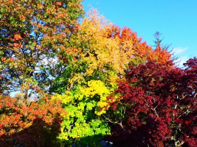DSCN5750.JPG