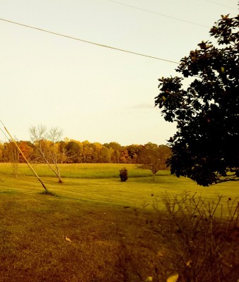 20201022_190743.jpg