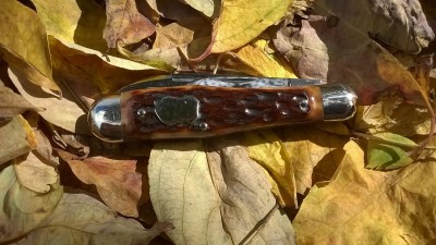 WP_20170930_027.jpg