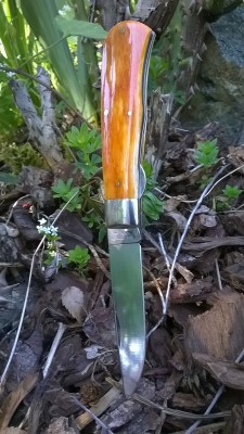 WP_20170520_051.jpg
