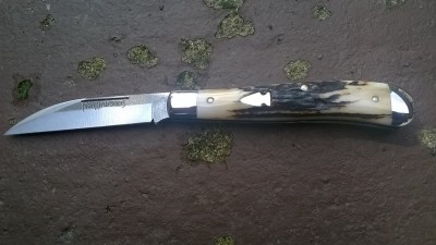 WP_20170430_032.jpg