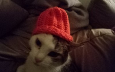 IMG_20201023_221617.jpg