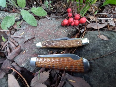 Cut Co. EZO - Walden 825 stockman