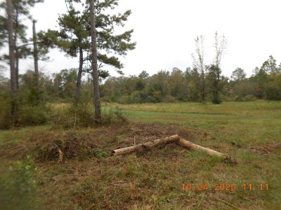 Looking from a 90 degree woods corner back northwest across the food plot towards the shooting house.