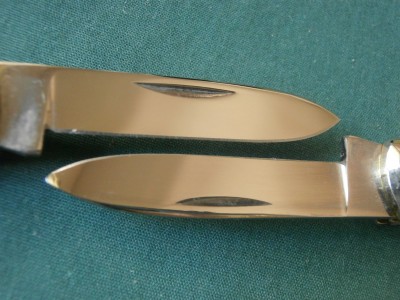 PA250018.JPG