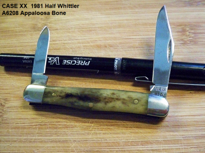 Case XX A6208_a.png