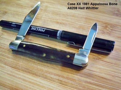 Case XX A6208_b.png