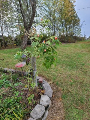 20201027_144823.jpg