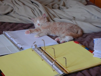 DSCN4048.JPG