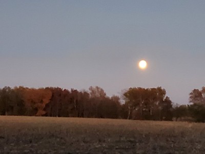 20201030_182351.jpg