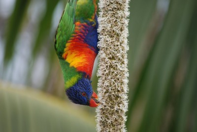 DSC_2800.JPG