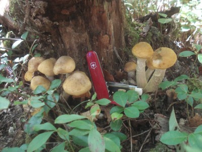 DSC07824.JPG