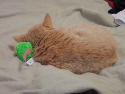 DSCN4075.JPG