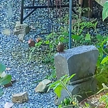 20201101_130359.jpg
