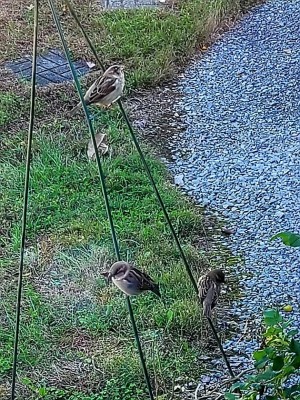 20201101_125635.jpg
