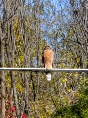20201101_190408.jpg
