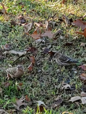 20201102_190058.jpg