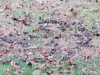 20201102_190543.jpg