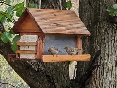 20201027_173213.jpg