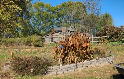 20201103_163504.jpg