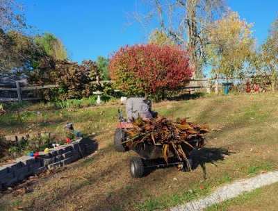 20201103_163417.jpg