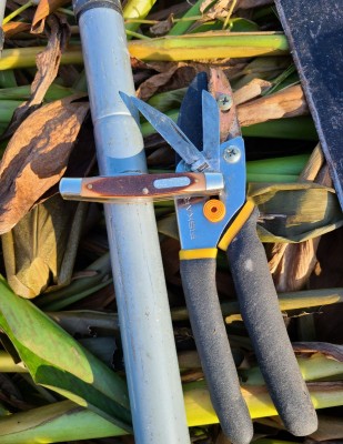 20201103_163317.jpg
