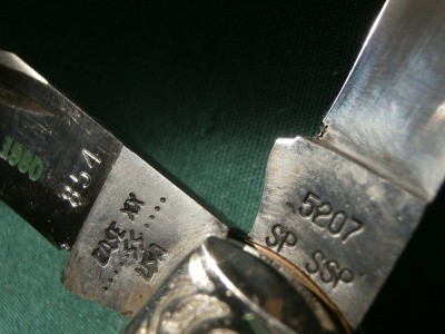 PB010016.JPG