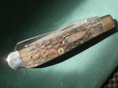 PB010004.JPG