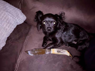 Remi