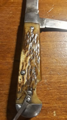 20201105_092957.jpg
