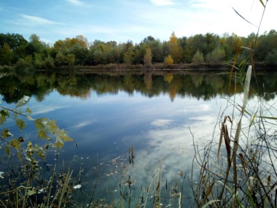 IMG_20201105_130716.jpg