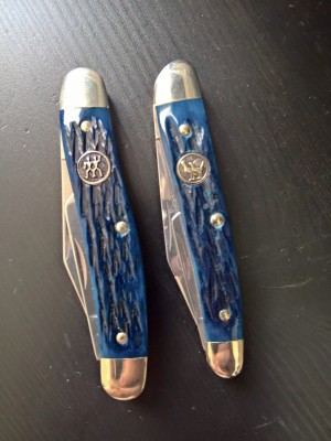 blue_bone_.jpg