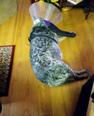 20201105_183801.jpg