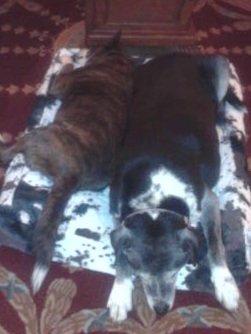 20201105_195608.jpg