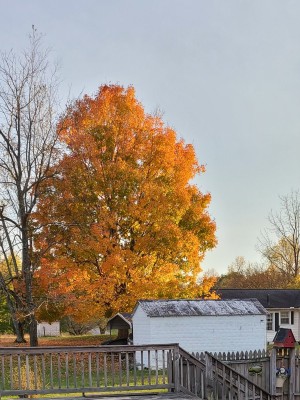 20201105_163511.jpg