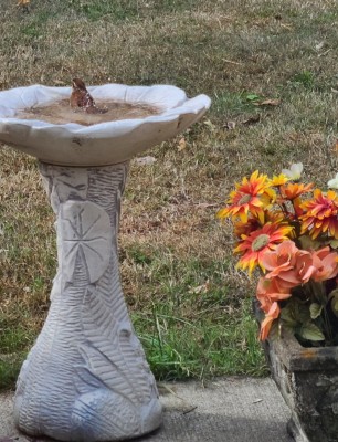 20201105_202739.jpg