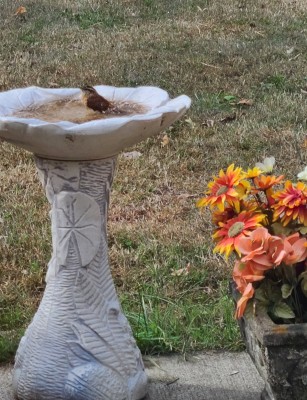 20201105_202703.jpg