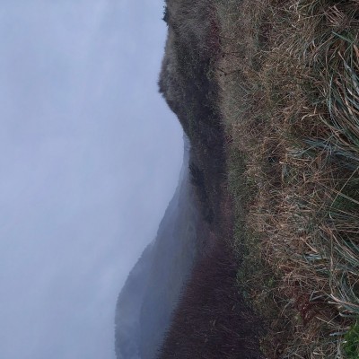 20201105_163903.jpg